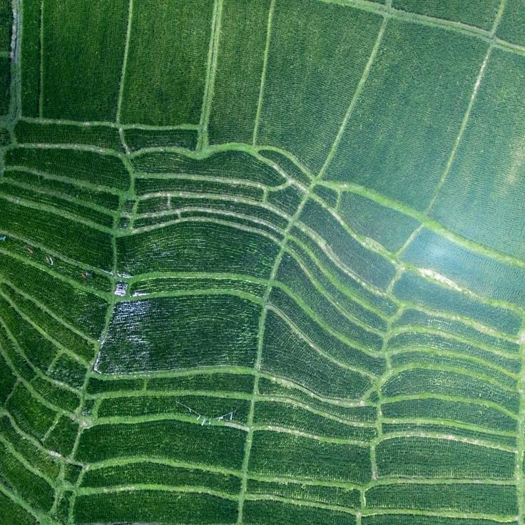 Kids playground area in United Kingdom
